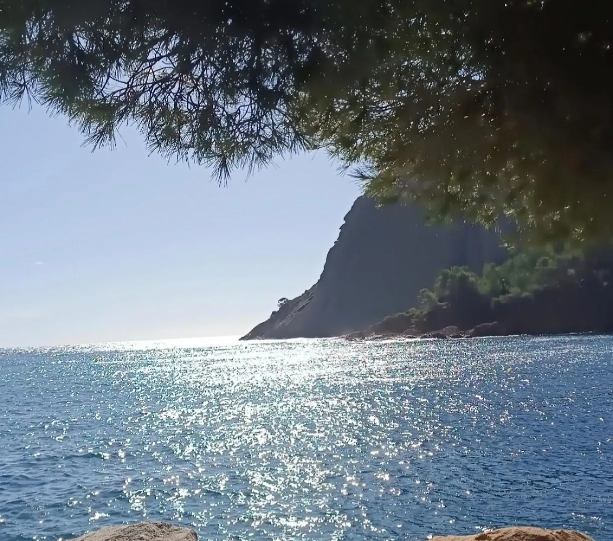 Le Balcon De Sadi Carnot Apartment La Ciotat 0*,